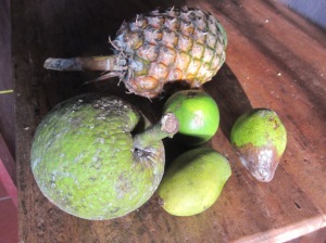 Fruits of the Season - pineapple, orange, avocado, breadfruit, and mango