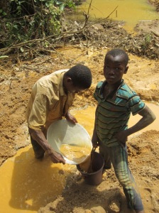 Panning separates the gold from the silt.